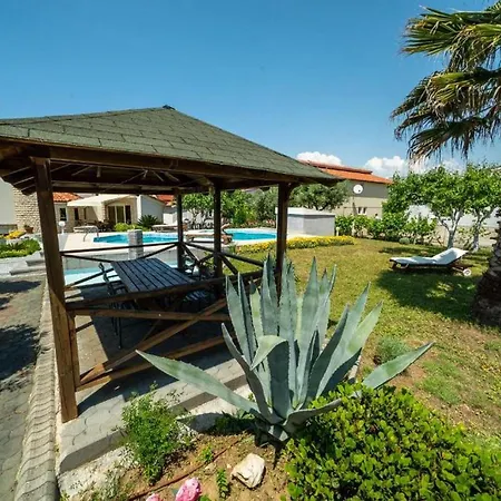 Jelena Near * ヴィル