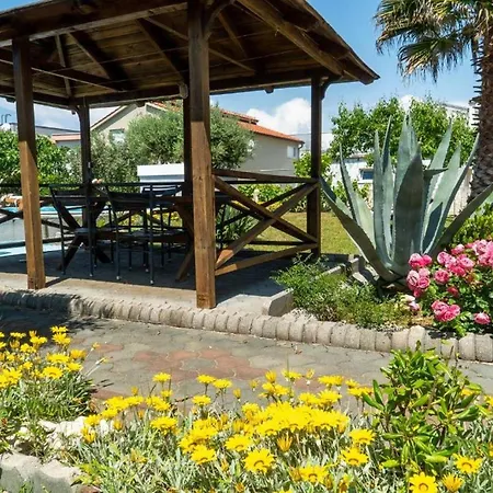 Villa Jelena Near *